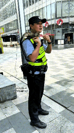 平凡街头的一幕，温柔治愈了无数路人。
 
警察同志认真站在岗上执勤，身姿挺拔、神