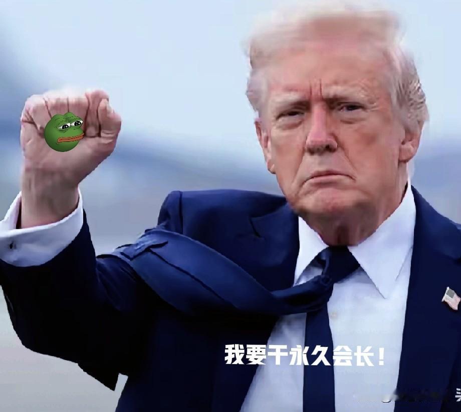 特朗普总统的单边思维和迷你小型和平委员会，就是个敛财组织！全球近200个国家仅有