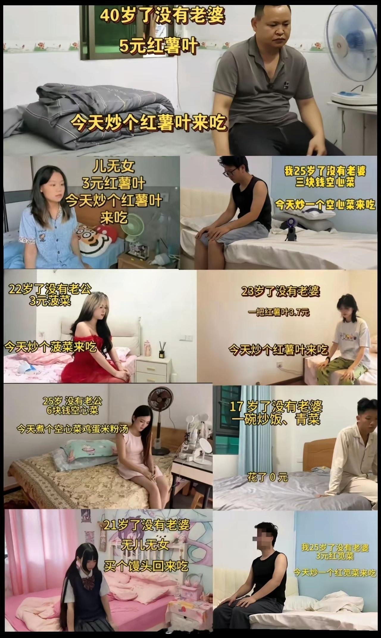 红薯叶：我到底哪做得不对？ 