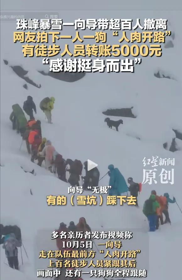 “太暖心了！”西藏珠峰突发暴雪，一向导冒“死”带百余人雪中撤离，还把狗派到前面带