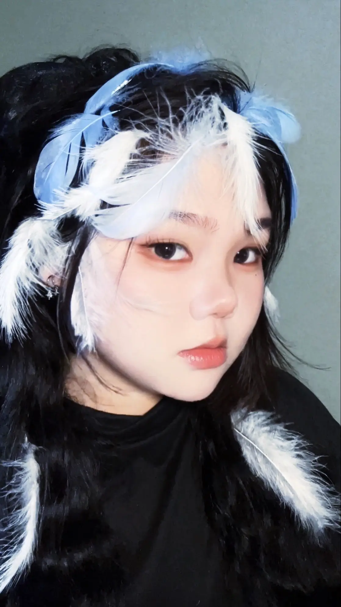 🕊️。