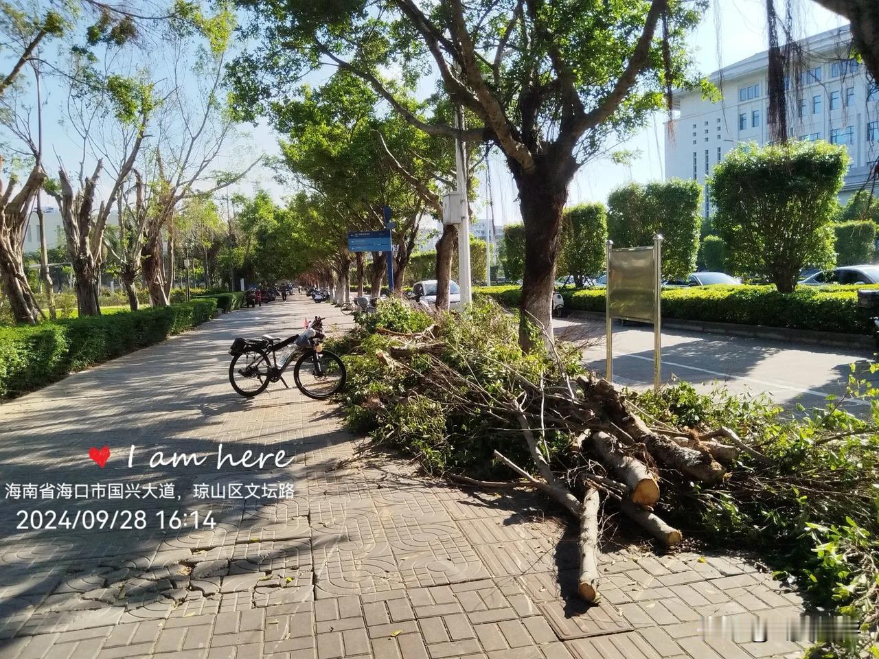 随手义举
2024年9月28日下午，海南省海口市国兴大道，南侧为琼山区。我从国秀