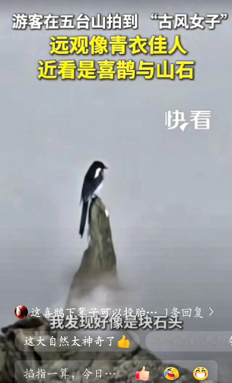“不可思议！”山西，一男子在五台山游玩，突然发现远处站着一名“古风女子”，男子一