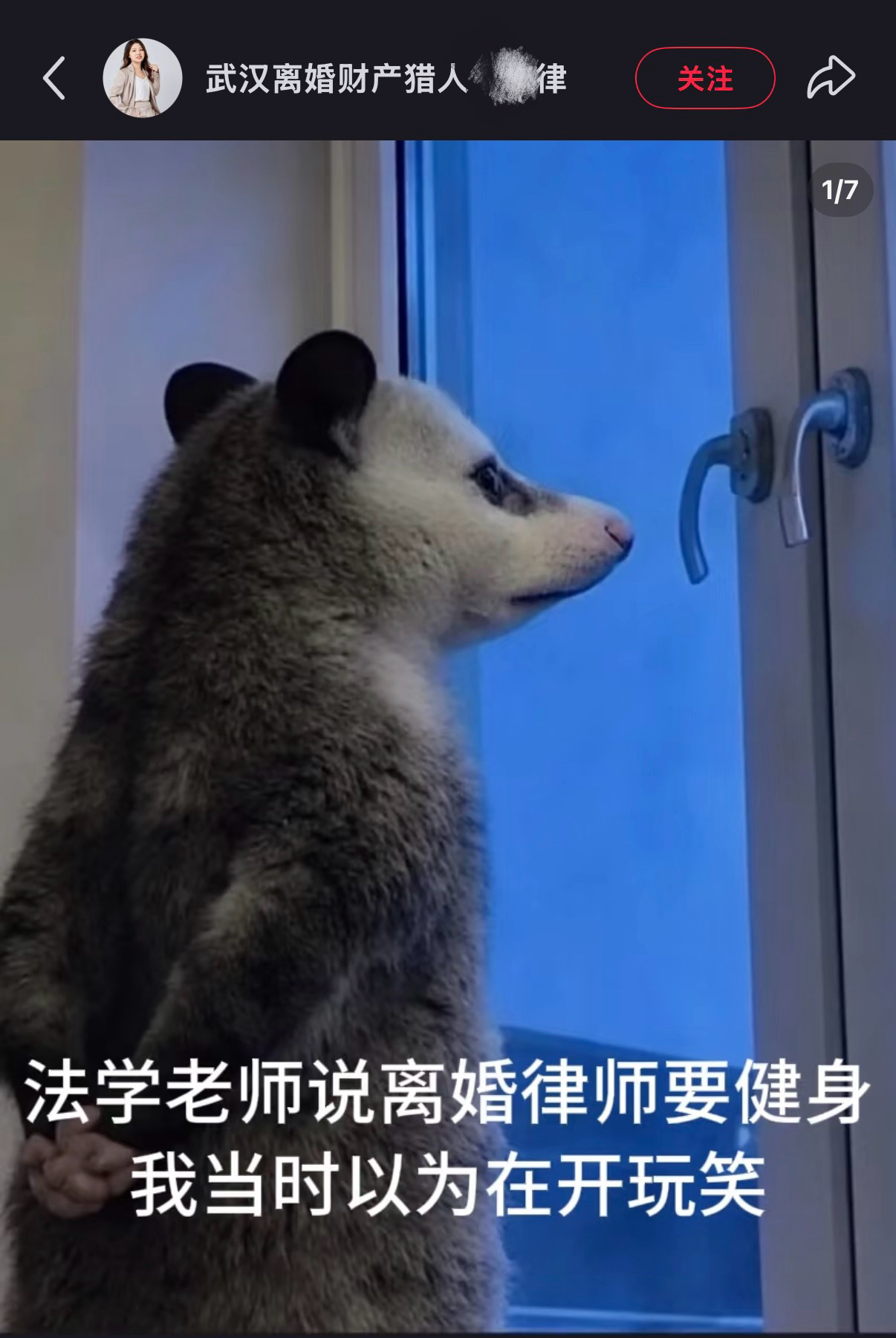 焦律的所有艺术都来源于生活 ​​​