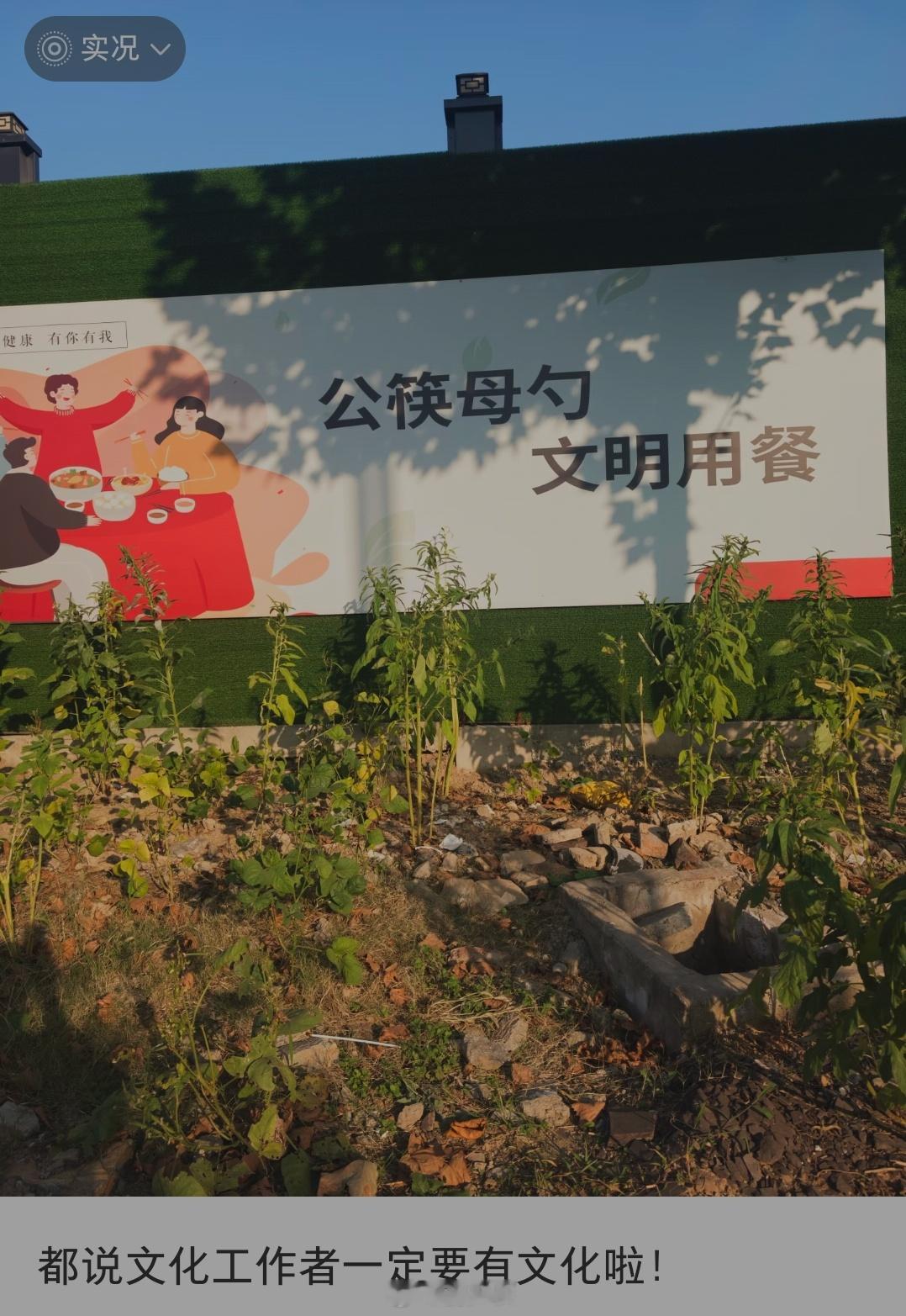还真有“公筷母勺”这个词 ​​​
