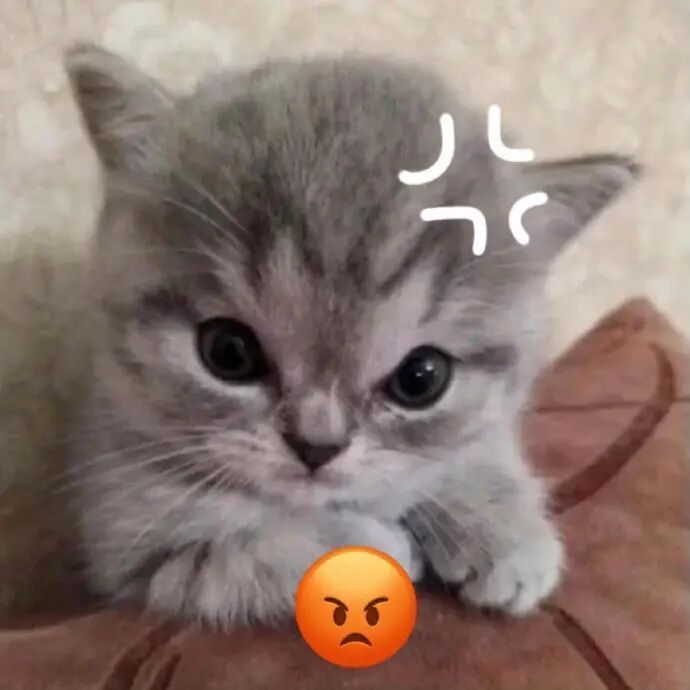 刘涛：她初五才回！她初五才回！！！ 24年春节的事，刘涛26年想起来还是气