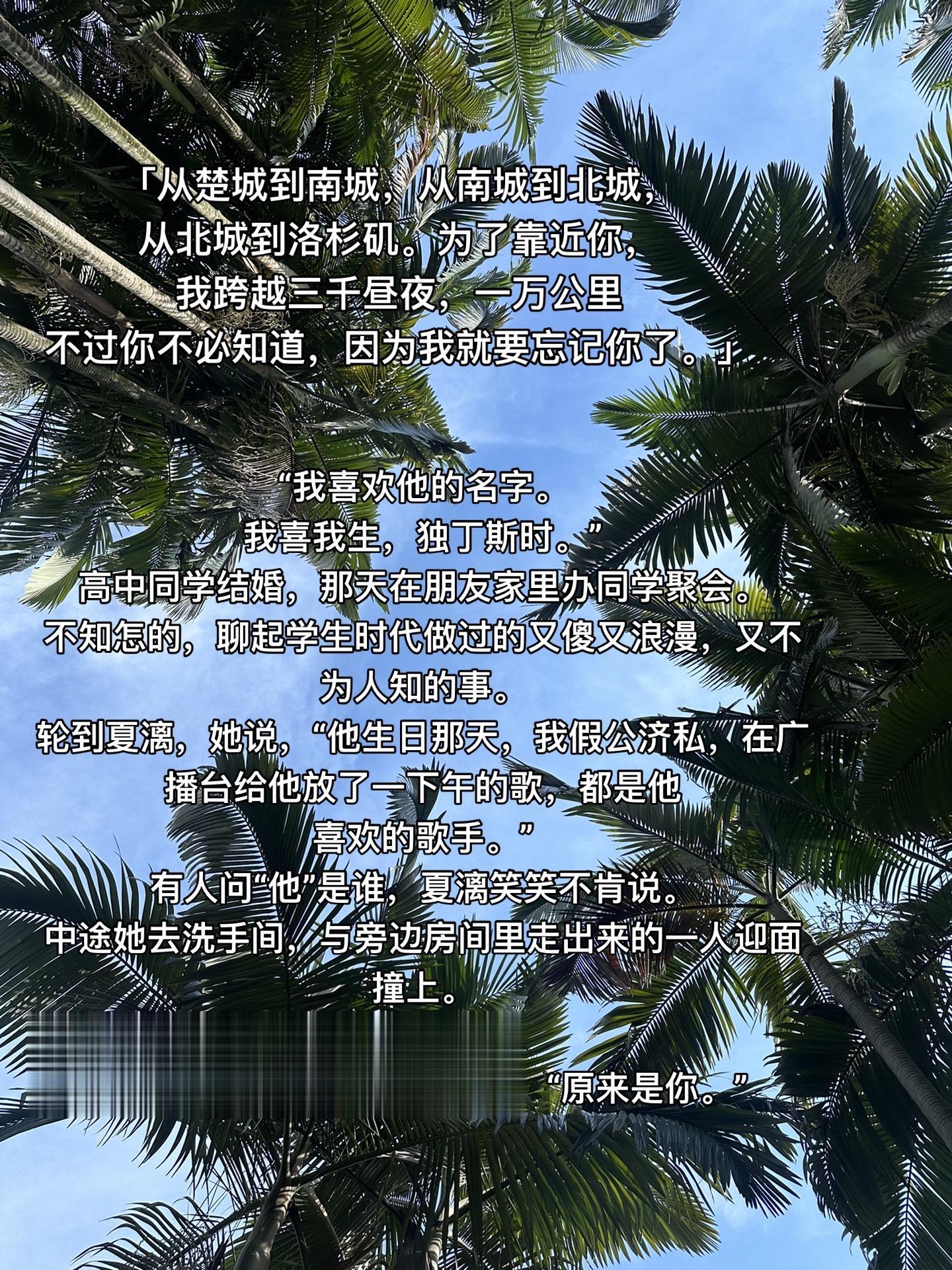 他没谈过恋爱，不知道怎样的节奏才算合适，这样早地就送玫瑰，是否唐突。可...