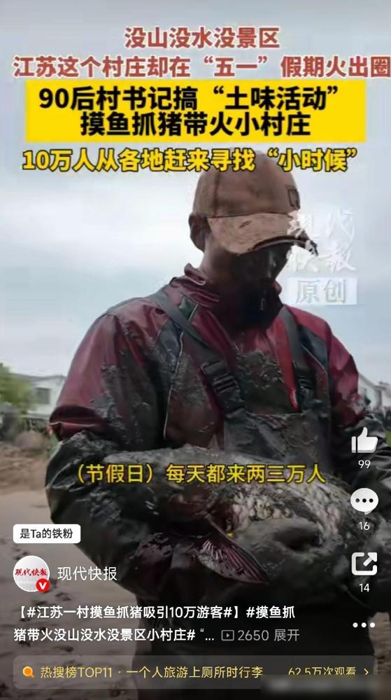 这村火了，不是因为啥网红打卡点，而是直接让游客下塘摸鱼、空地抓猪！

江苏淮安洪