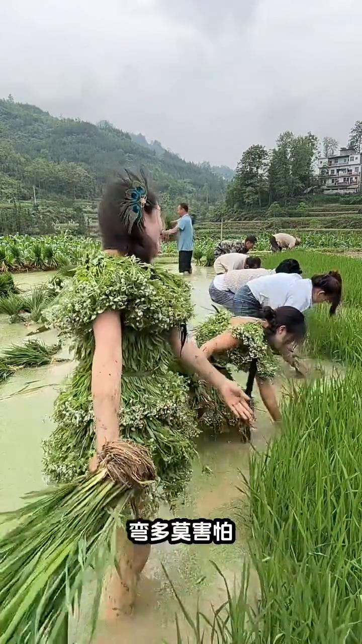 瞧我起呀瞧我起呀，天上风雨多，林中鸟归窝。只有那个赶路人，不怕路坎坷。前面是条河