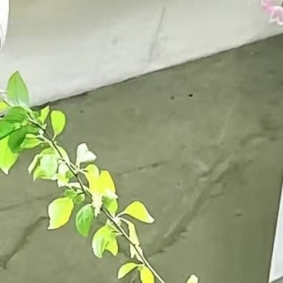 000000善意是大爱，大爱使人成长。人若拥有了善良，那么，纵然从来都是一无所有