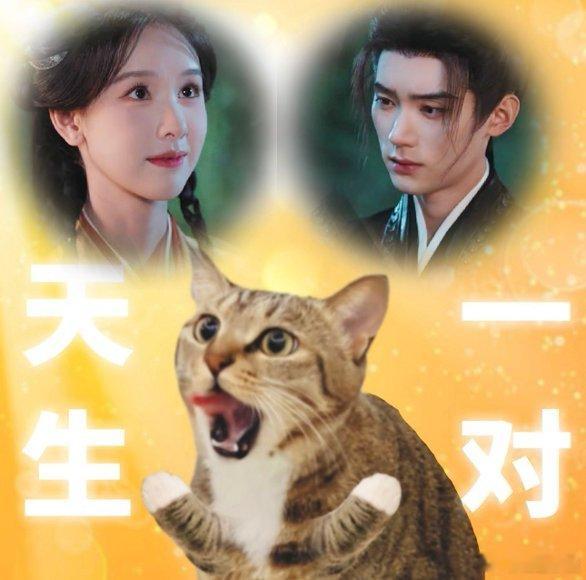 翘楚第7集8分31秒 楚朝的泪一掉，谢燕来那眼神和想碰又收回的手，谁还看不出来他