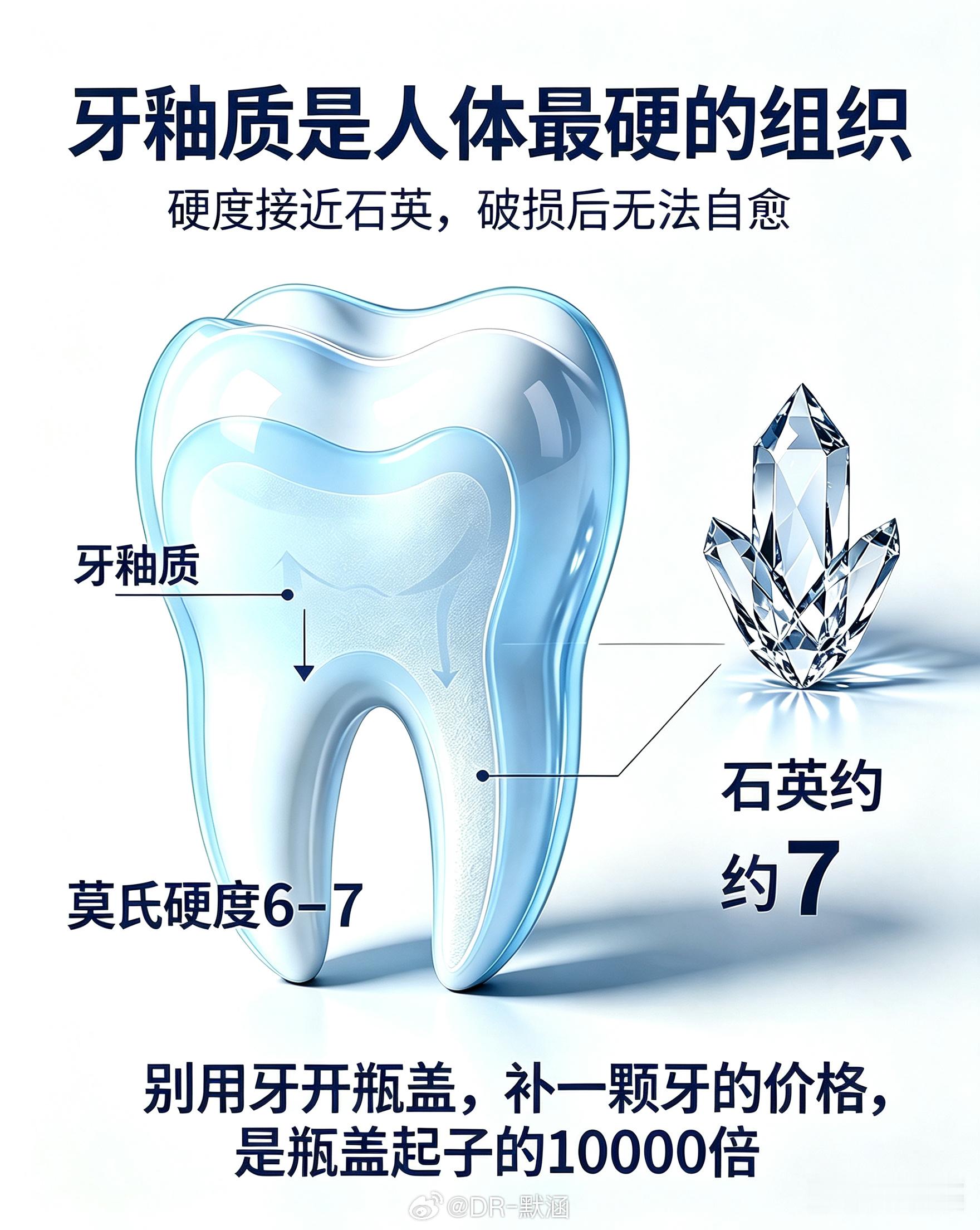 牙齿是人体最坚硬的器官，牙釉质莫氏硬度高达6-7，和铁相当，比骨头（硬度3-4）