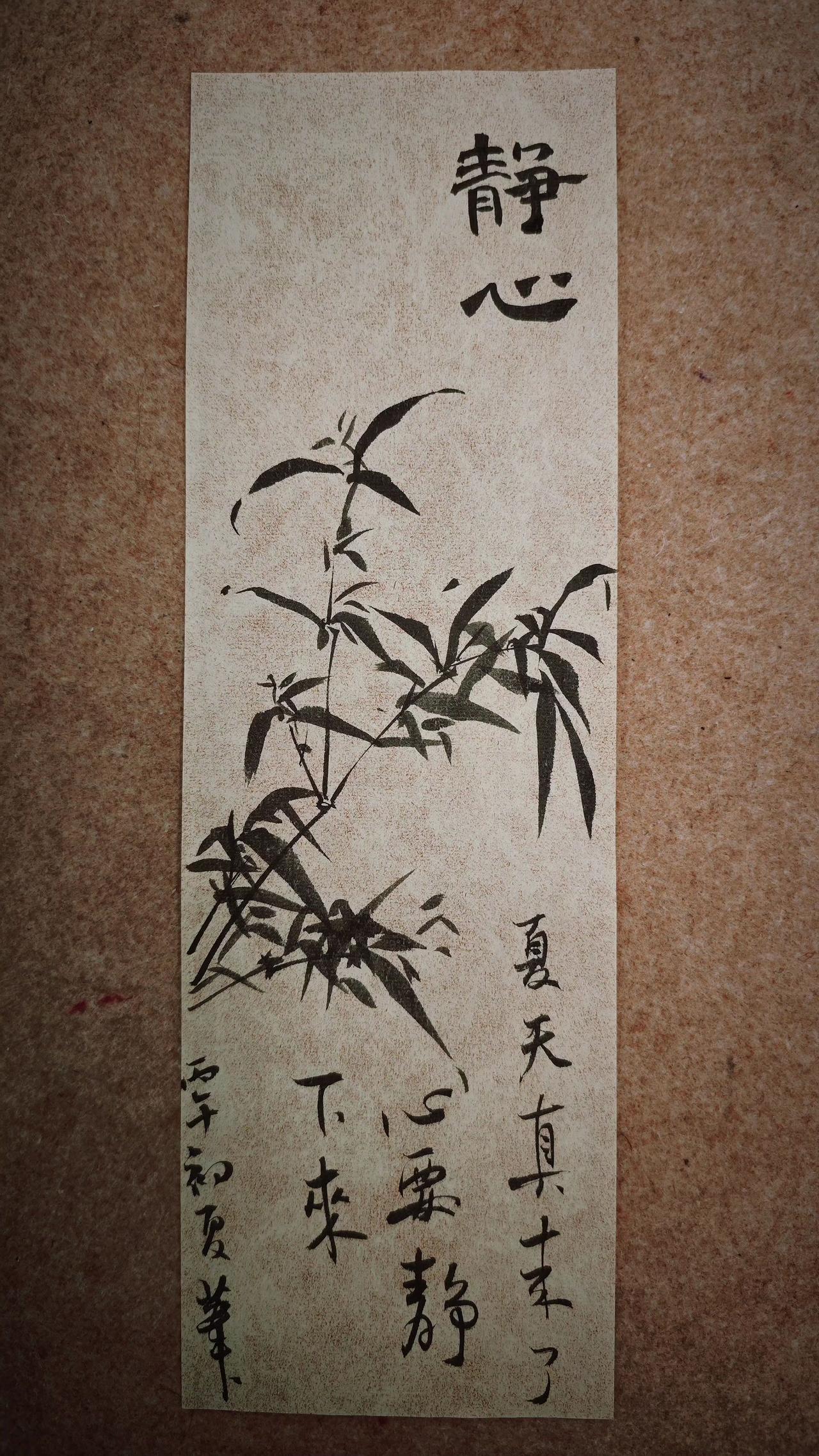 夏天真的来了，
心要静下来。