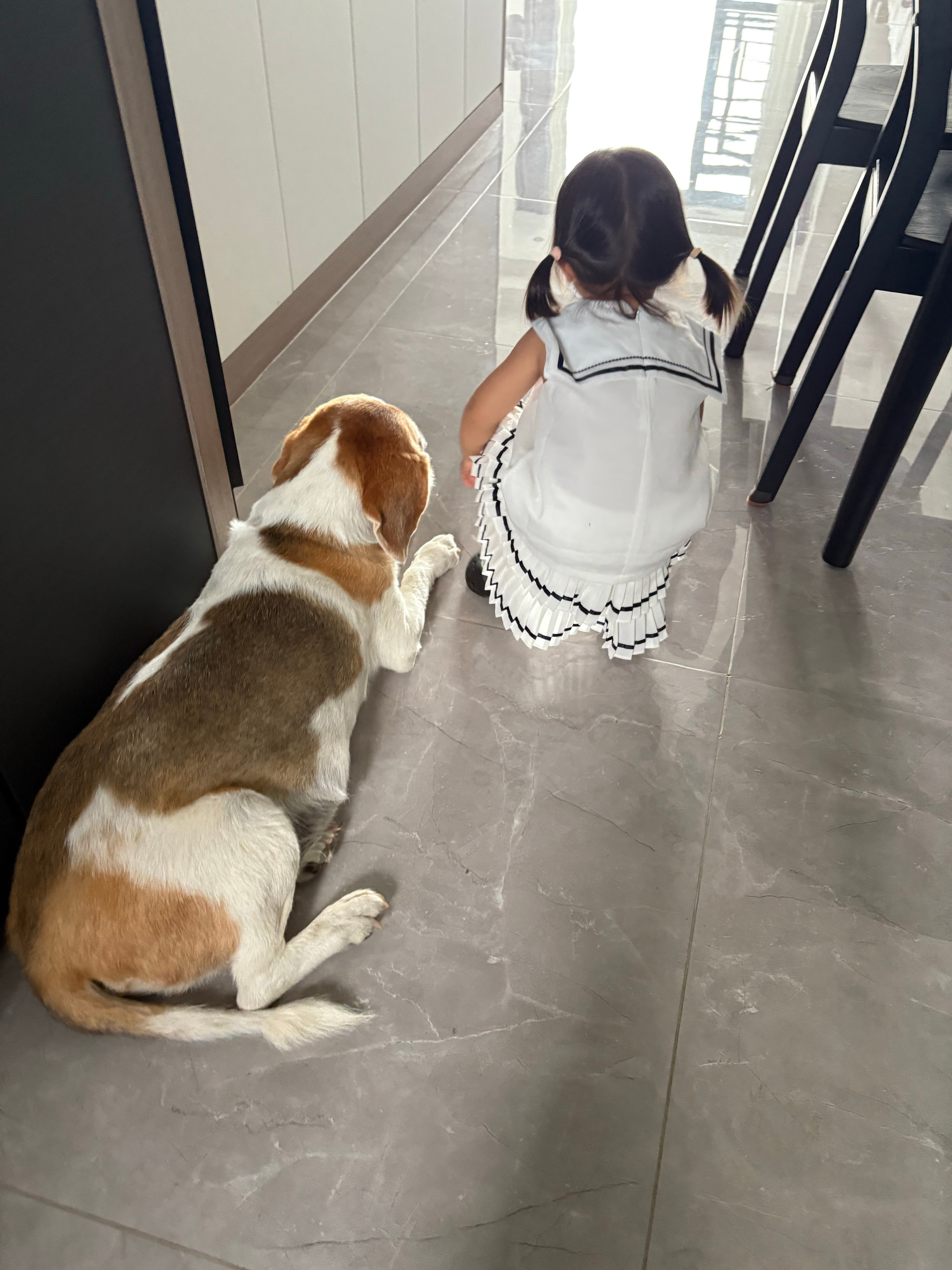 狗哥和狗妹 ​​​