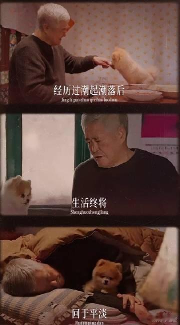 赵本山乡爱20年青丝变白发  《乡村爱情17》中王大拿的付出与坚守，让人敬佩不已