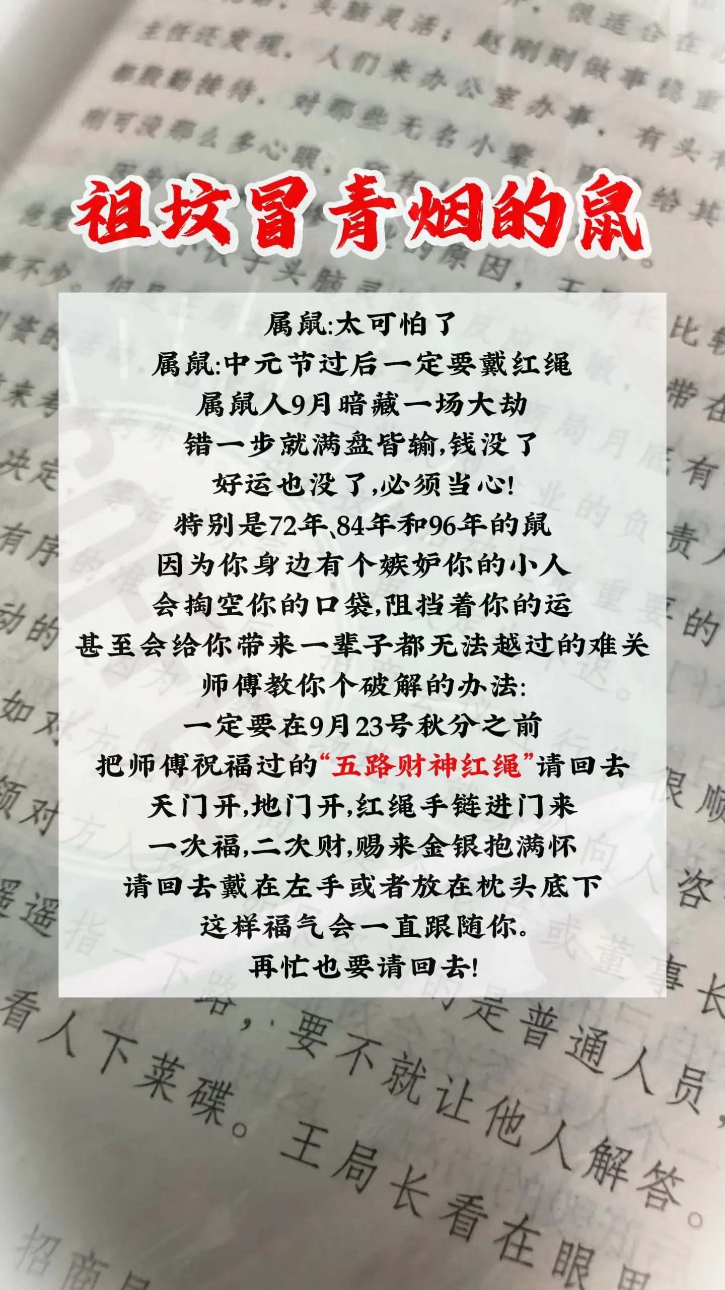 1972年的鼠 1984年老鼠 1996鼠 属鼠的人 生肖鼠