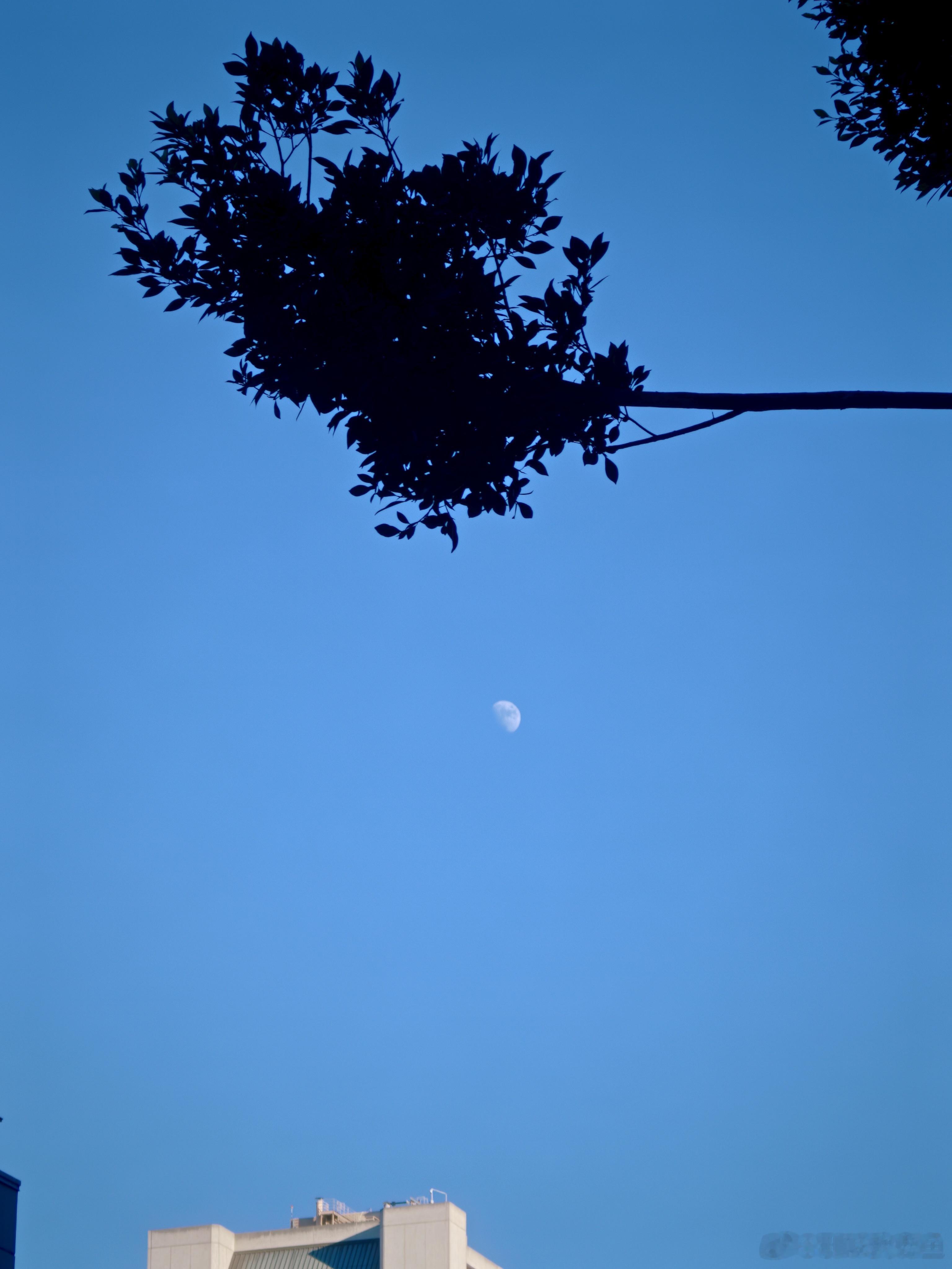 今年真的是特种兵了，最后溜达一圈，准备回国，不知道是上年纪了，还是强度大，近年来