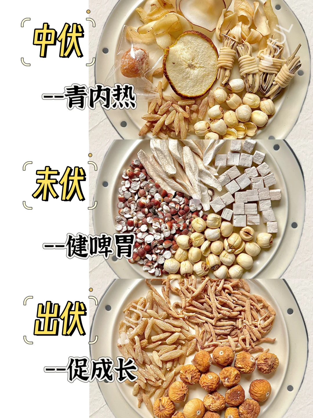 三伏天是调养孩子啤胃好时期，码住了～