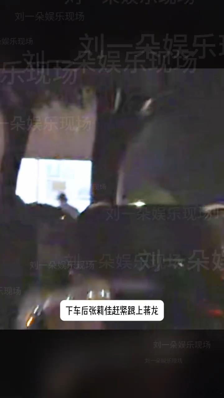 曝蒋龙张莉佳恋爱曝蒋龙张莉佳恋爱可以 