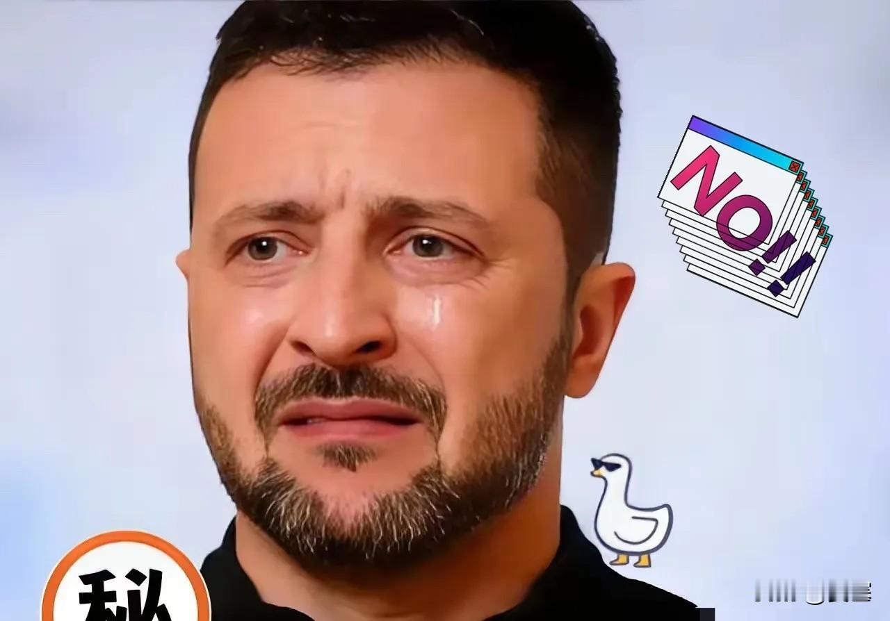 12月2日最新消息，乌克兰总统泽连斯基公开宣布，和美国代表团就领土问题一口气谈了