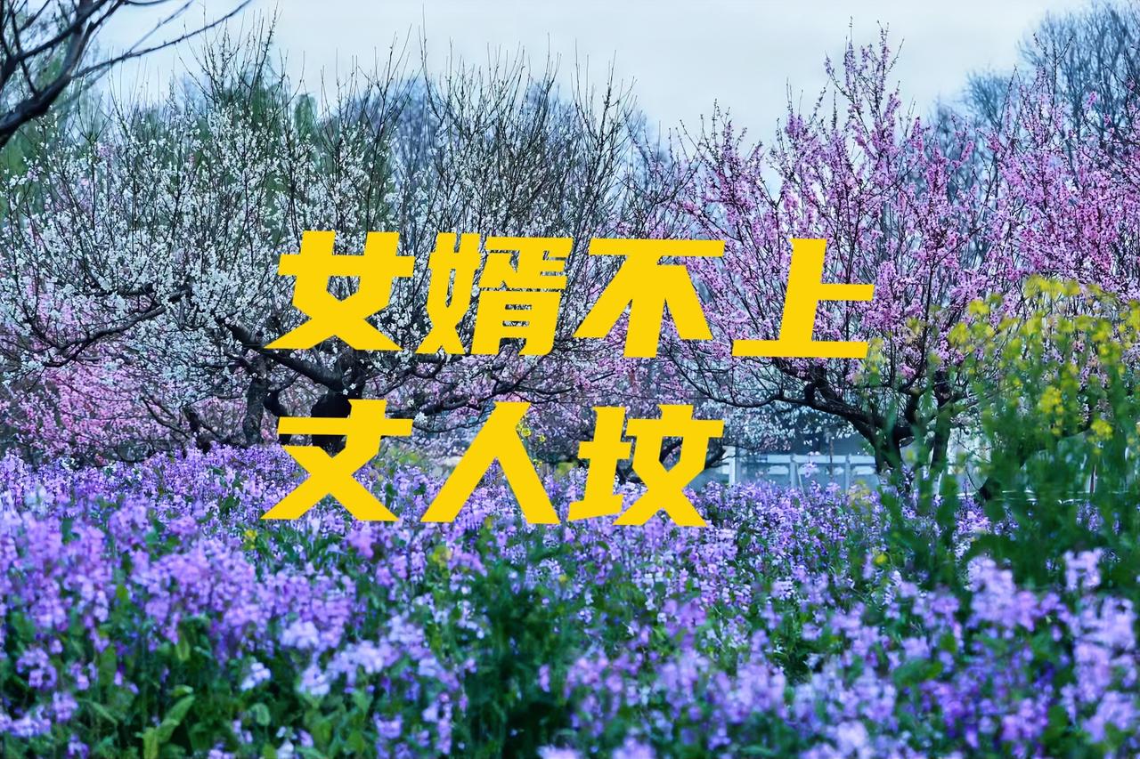 传统习俗有"女婿不上丈人坟"的说法，你咋看？

据了解，民间传统上确实有"女婿莫