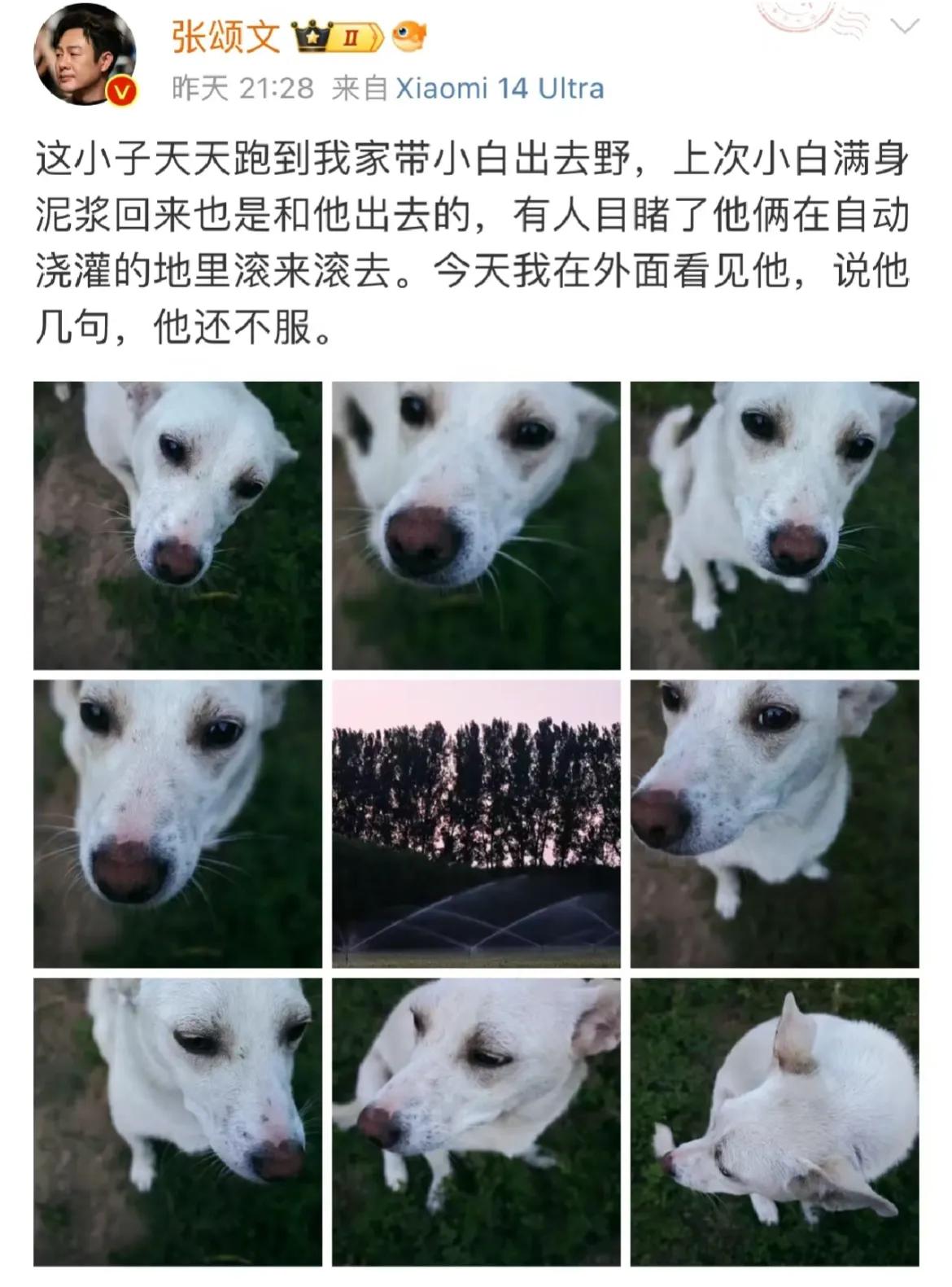 爱与不爱真的很明显！
哈哈哈哈哈哈哈就是就是！把他的小白拍的美得呀，蹲在地上给取
