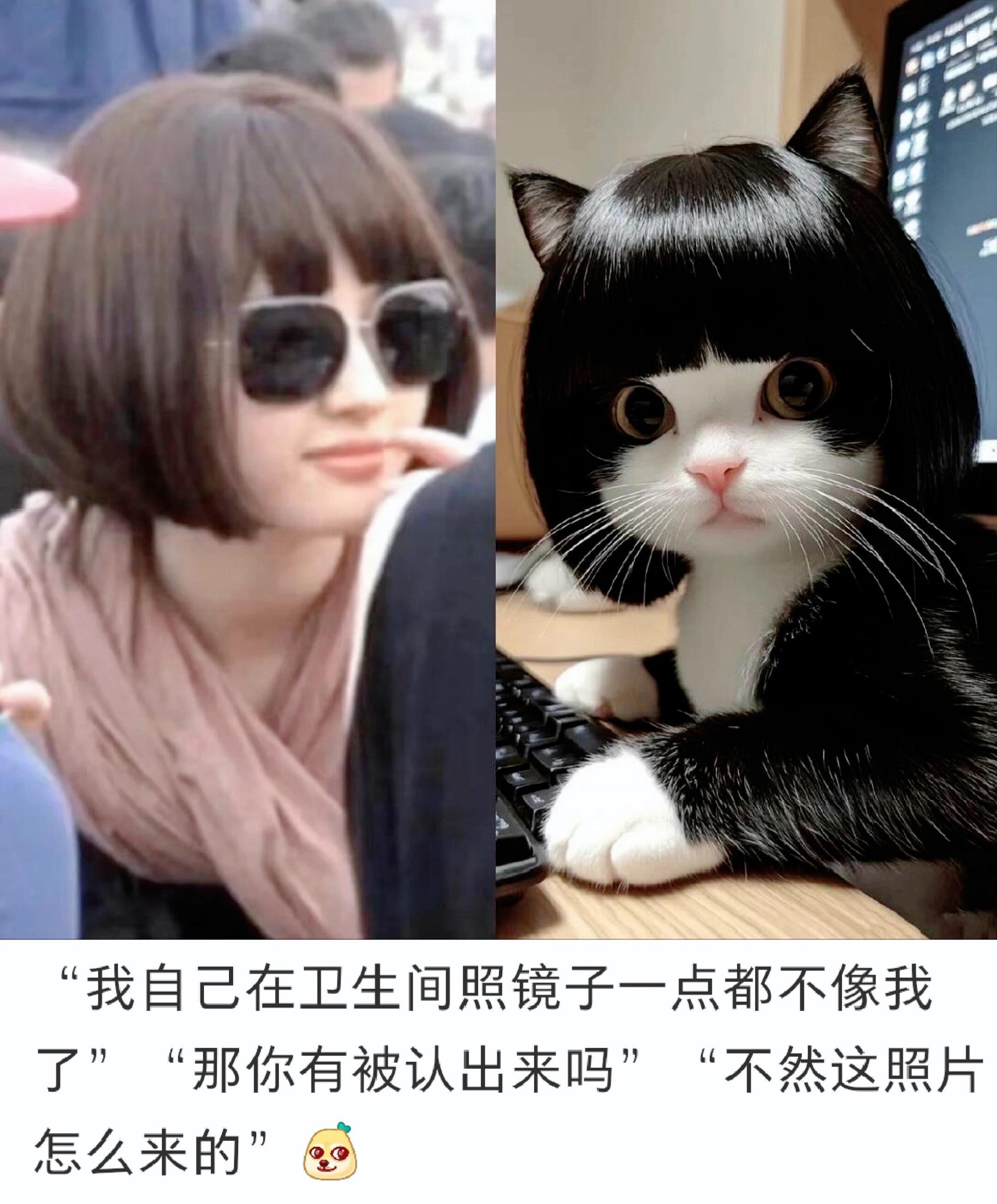 刘亦菲：我以为打扮成这样别人就认不出来了 