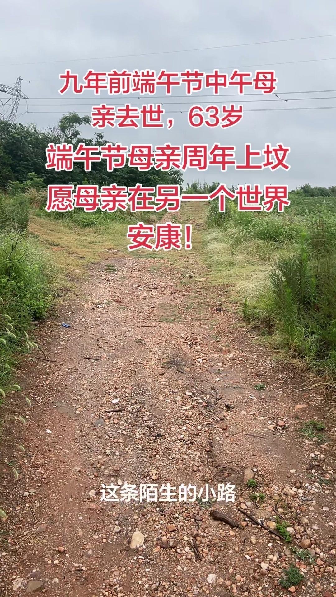 9年前的端午节中午，妈妈永远离开了我。那一天，整个世界都成了灰色。

没了妈妈，