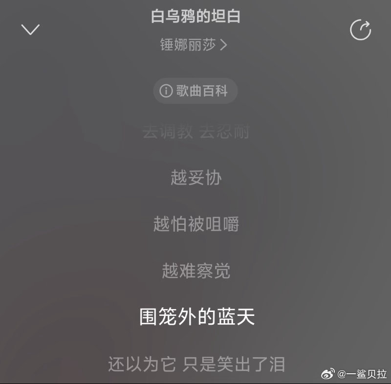 锤娜丽莎新歌和珠玉是同一作词人 锤娜丽莎新歌居然是珠玉作词人写的这波联动是真的有