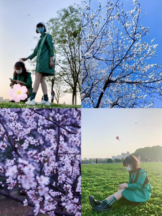 江宁半马，一不小心就跑进南京的春天里了🌸