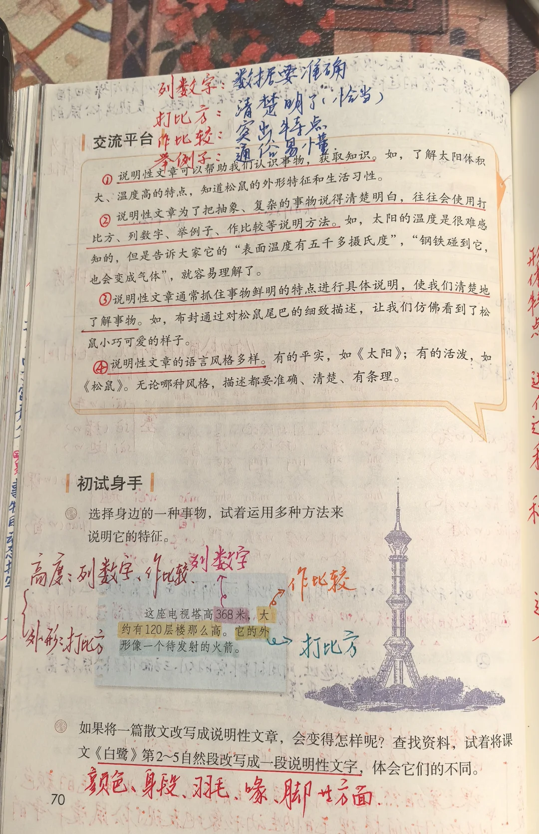 五上语文备课《园地五》＋习作例文