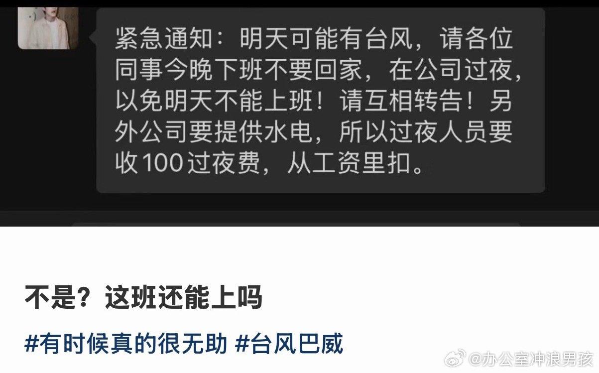 台风天吃到职场黑利了 ​