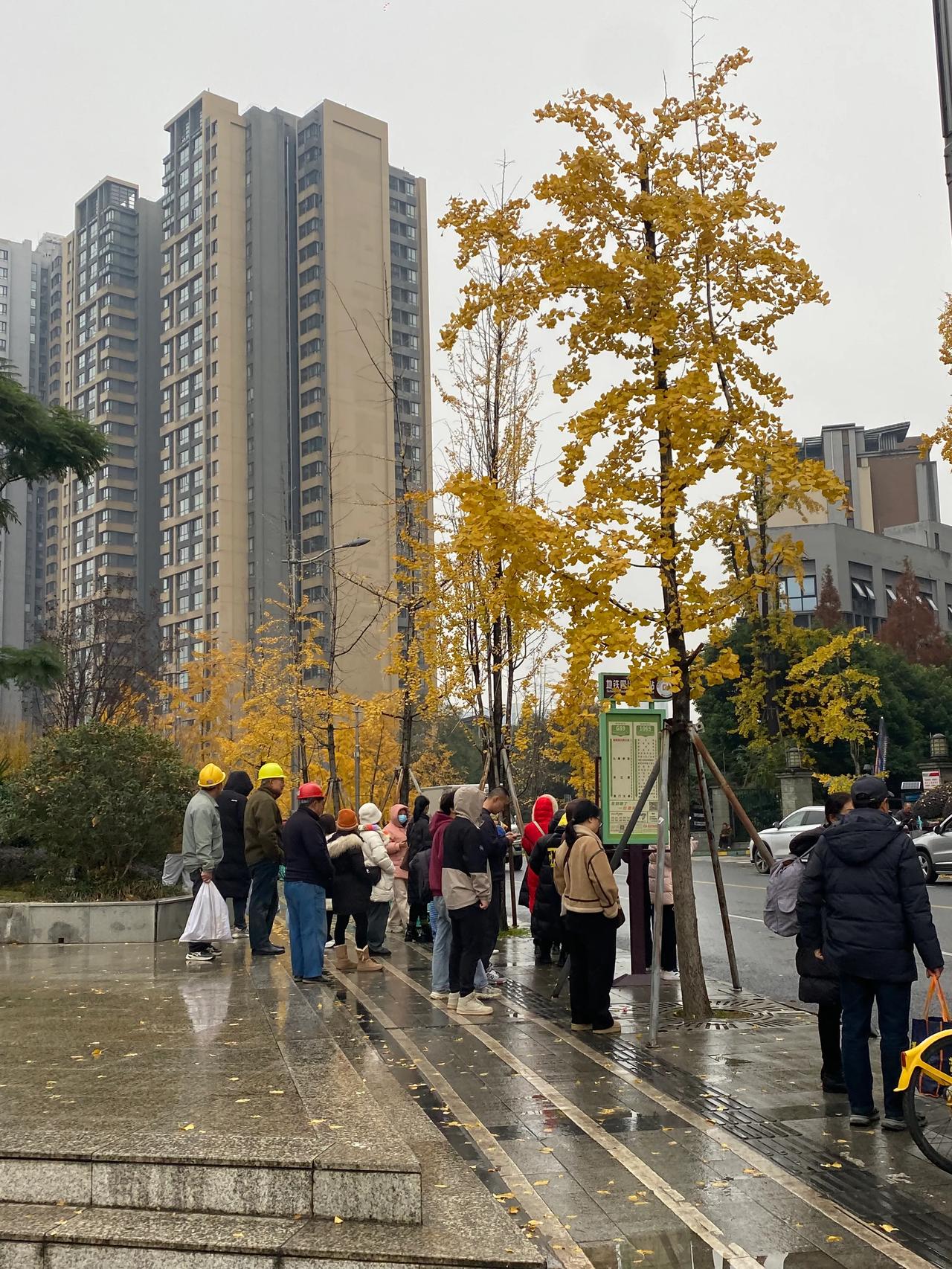 12月13日早晨的成都冬天颜色
早起匆匆去医院做检查
天下着雨，有些冷
医院例行