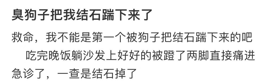 简直不要太离谱好消息：结石掉了，坏消息：是被狗踹掉的 ​​​