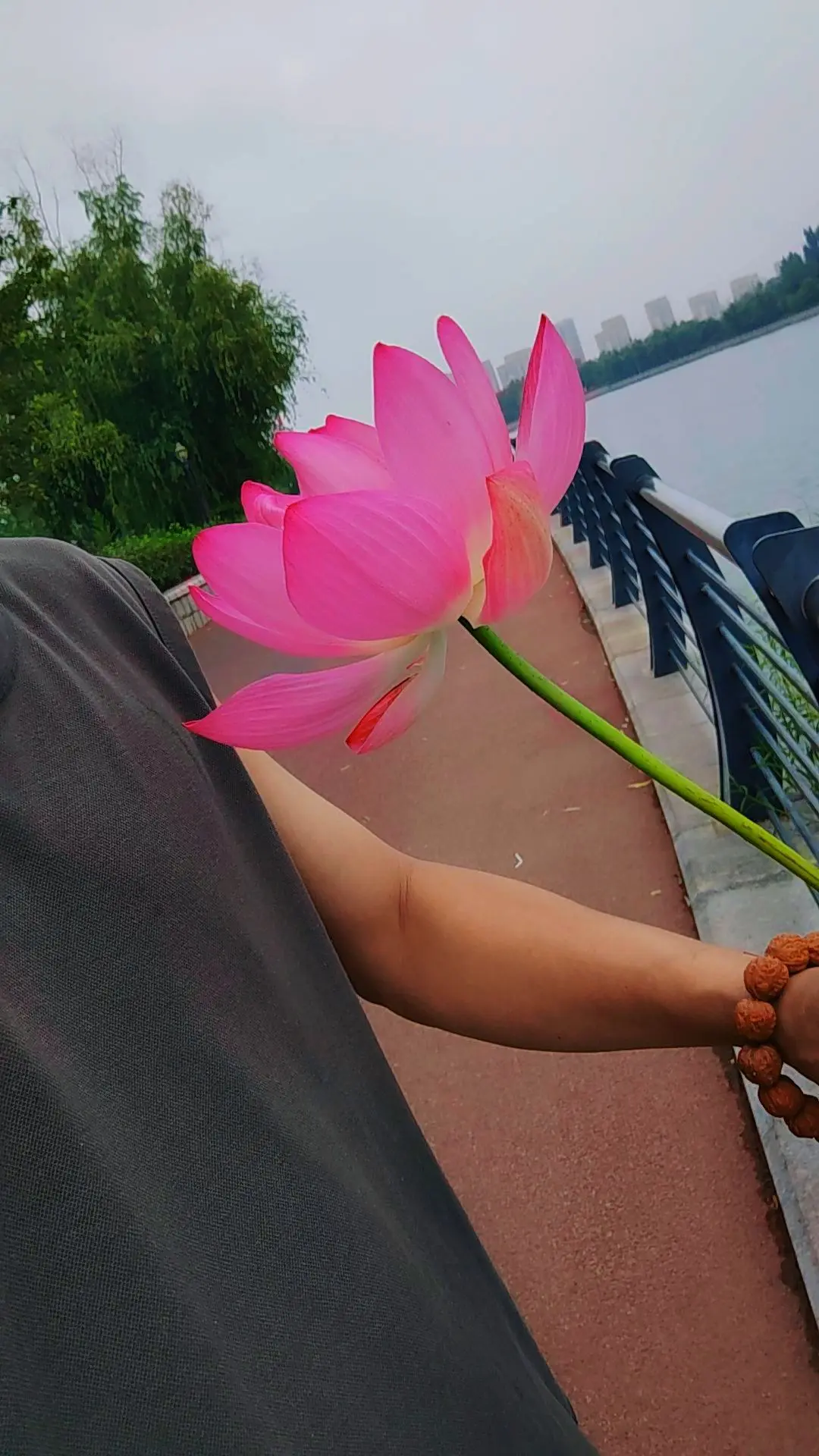 最好的思念，就是认真生活。自你走后，你无处不在。春，花，柳，夏，月，雨...