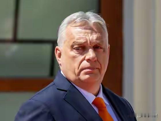 匈牙利总理欧尔班：我坚决反对！

刚刚，匈牙利总理欧尔班表示，欧盟主席冯德莱恩提