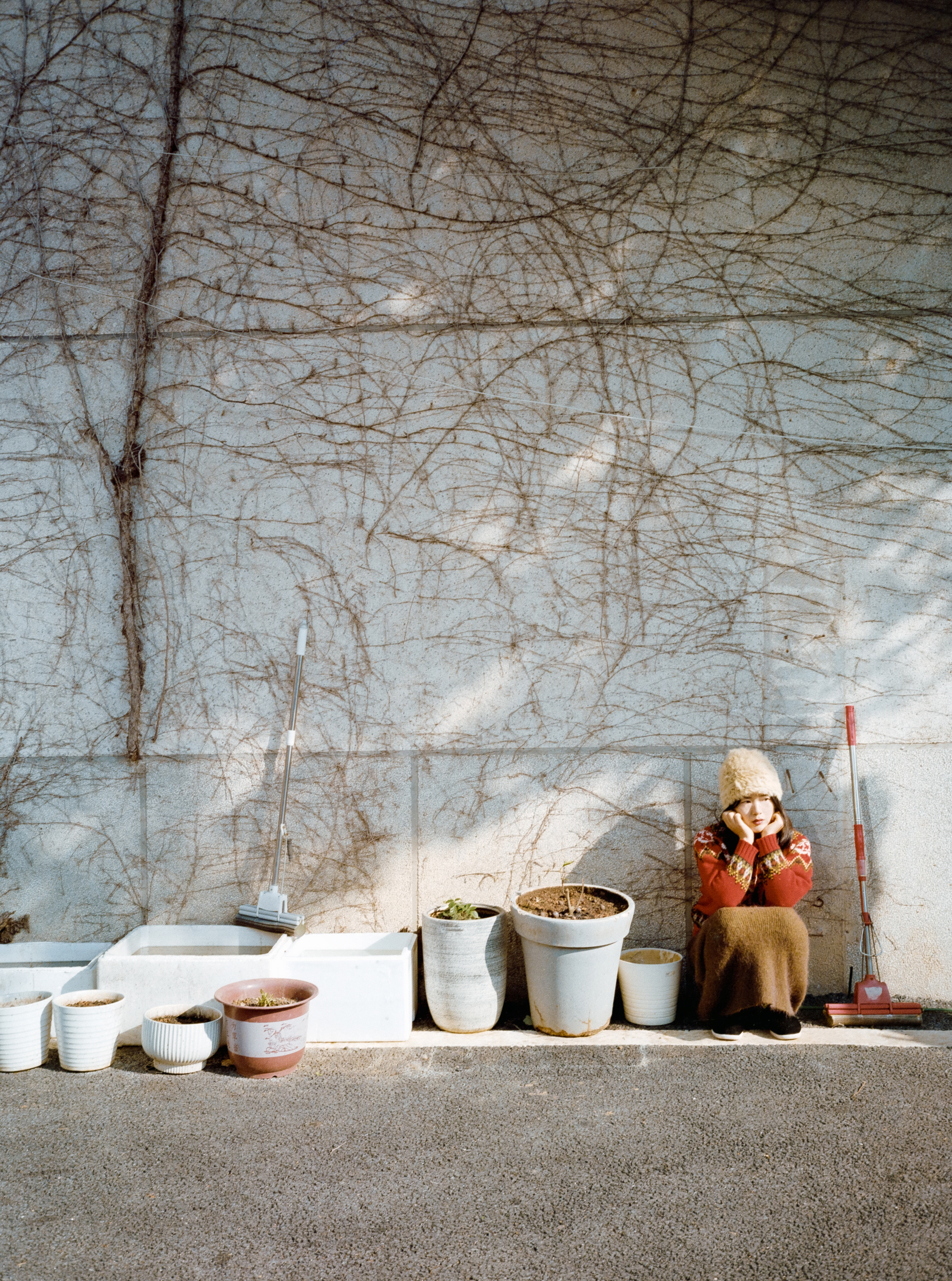 与朋友冬日散步。 