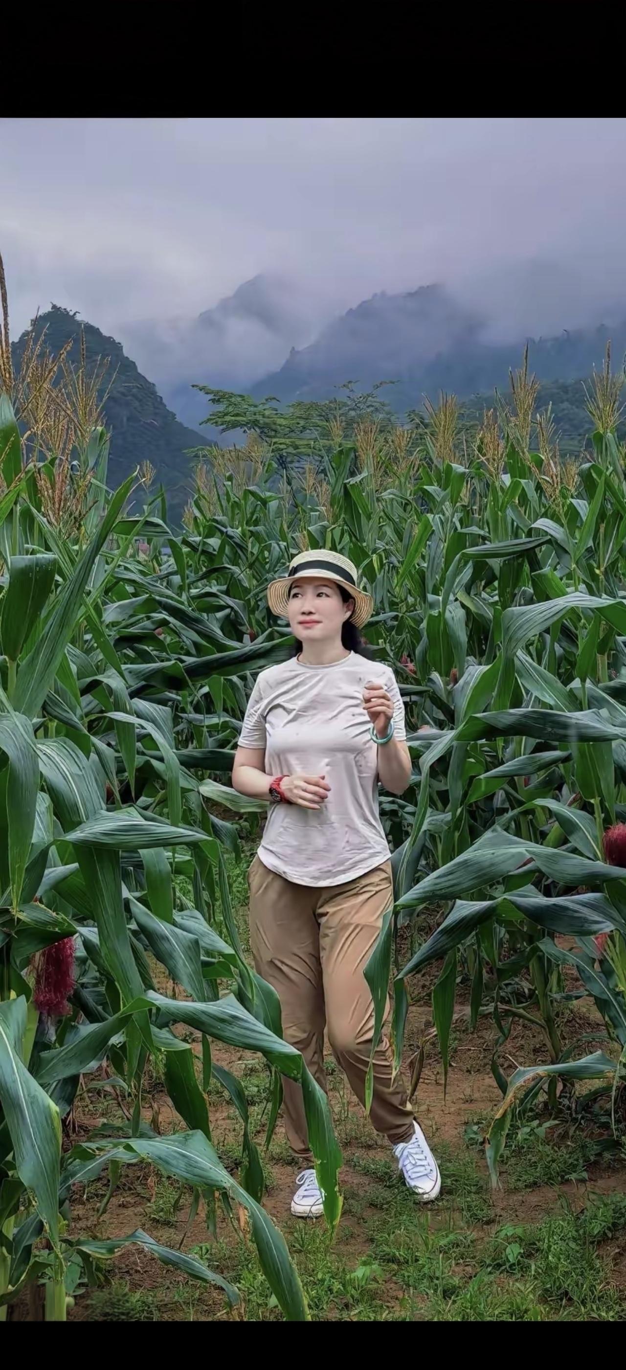 山间行旅人，笑看云卷云舒。