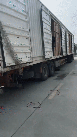 一家工厂老板专门请了几个年纪大的老年人来厂里装卸货物。
像这样的农村老人平时都很