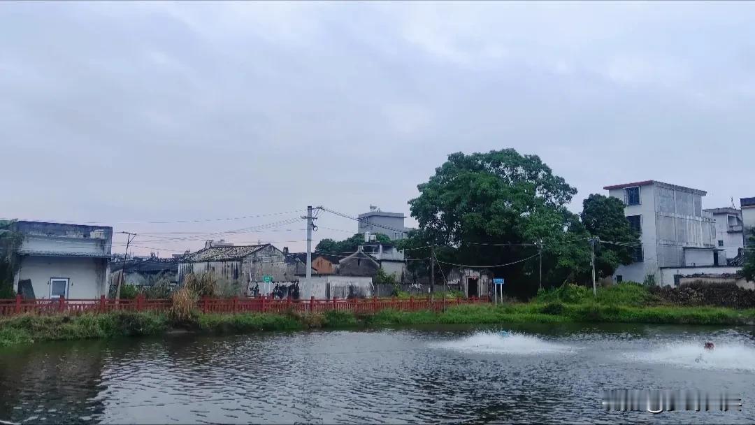 农村的早晨，小雨蒙蒙，没有城市的喧嚣，没有人流的拥挤，连空气都都是甜的， 古色古