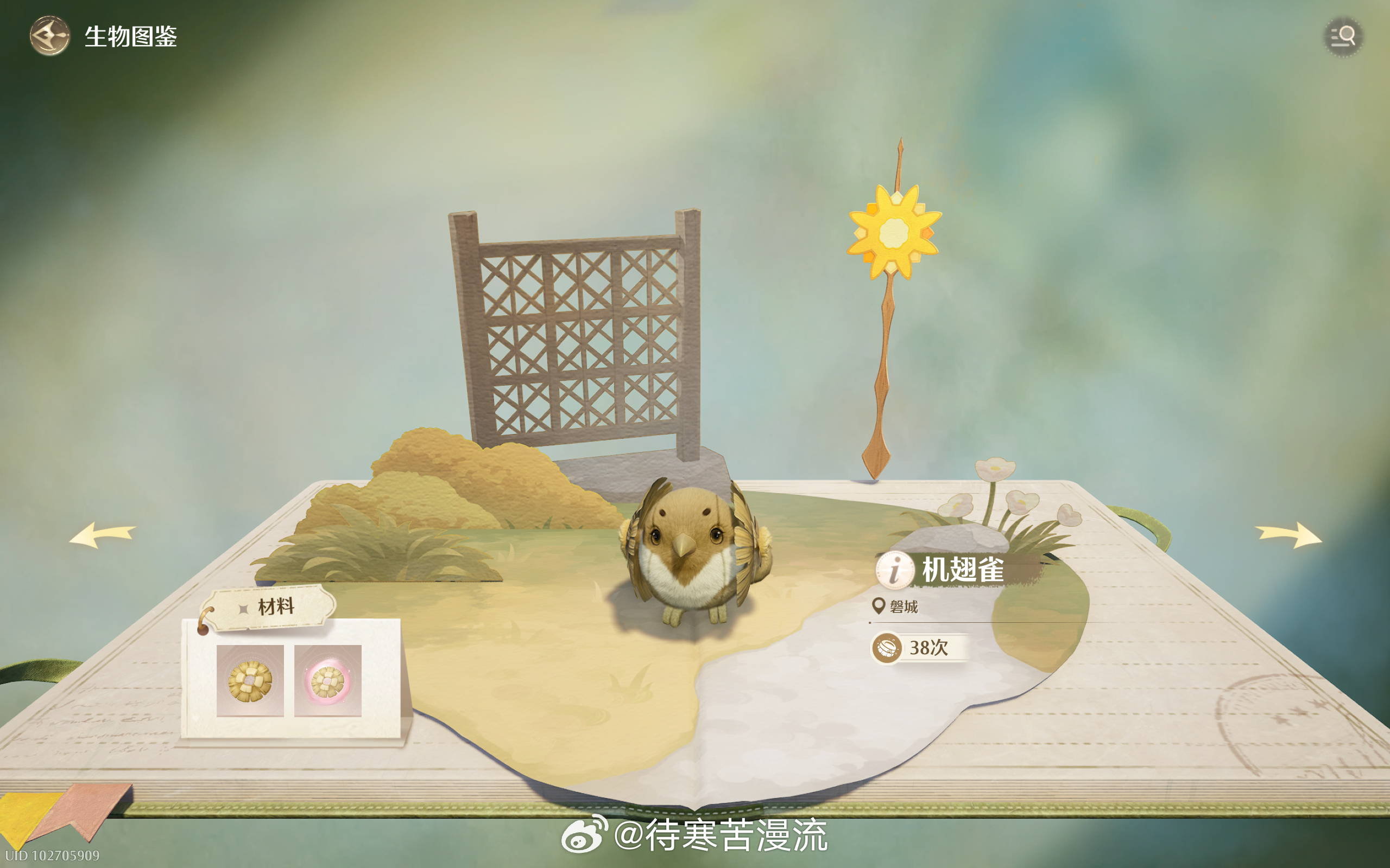 什么鸡翅雀？ 