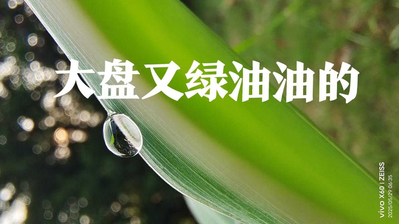昨天大盘好不容易摸高了4100点，今天的黑色星期五就将它彻底消灭，只要大盘稍微一
