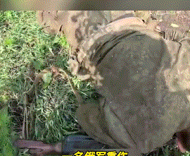 乌军残忍杀害俄军俘虏，连续开枪…[发怒] 