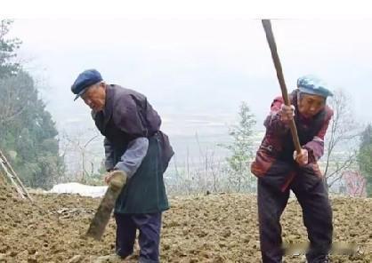 ＃上任条聊热点＃
3.23亿老人成各地政府的香饽饽了吗未必吧。能成为香饽饽的，可