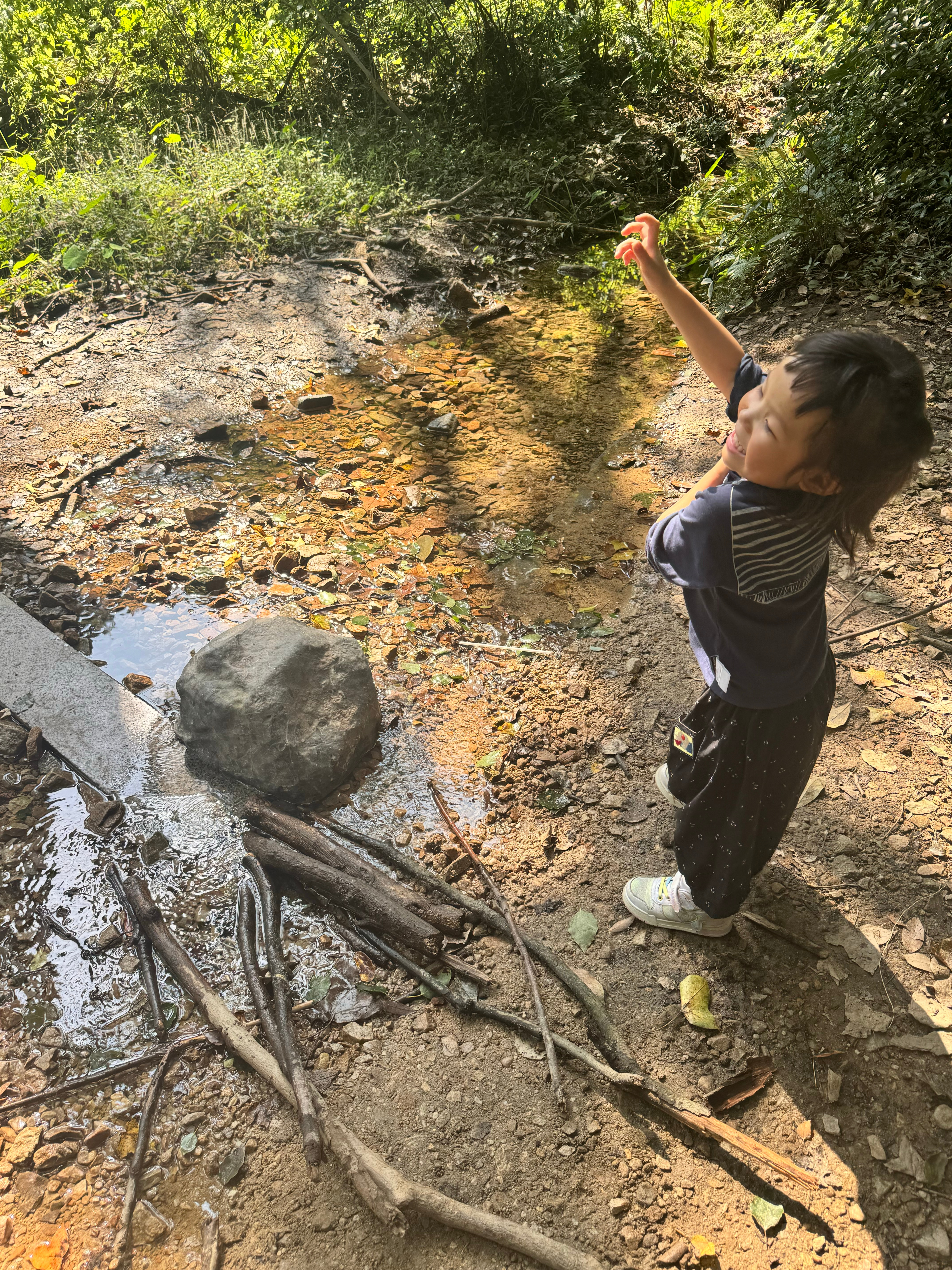 赴一场秋天的约会⛰️西湖边人实在是太多啦满陇桂雨上⬆️儿童公园下⬇️非常适合遛娃