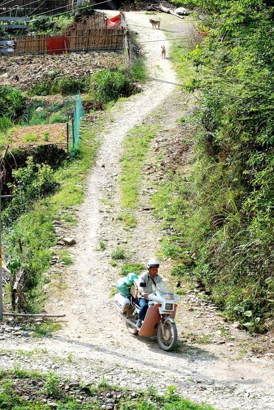 老了，什么才是底气呢？以前总觉得“养儿防老”，可等年纪大了才发现，儿女们也有自己