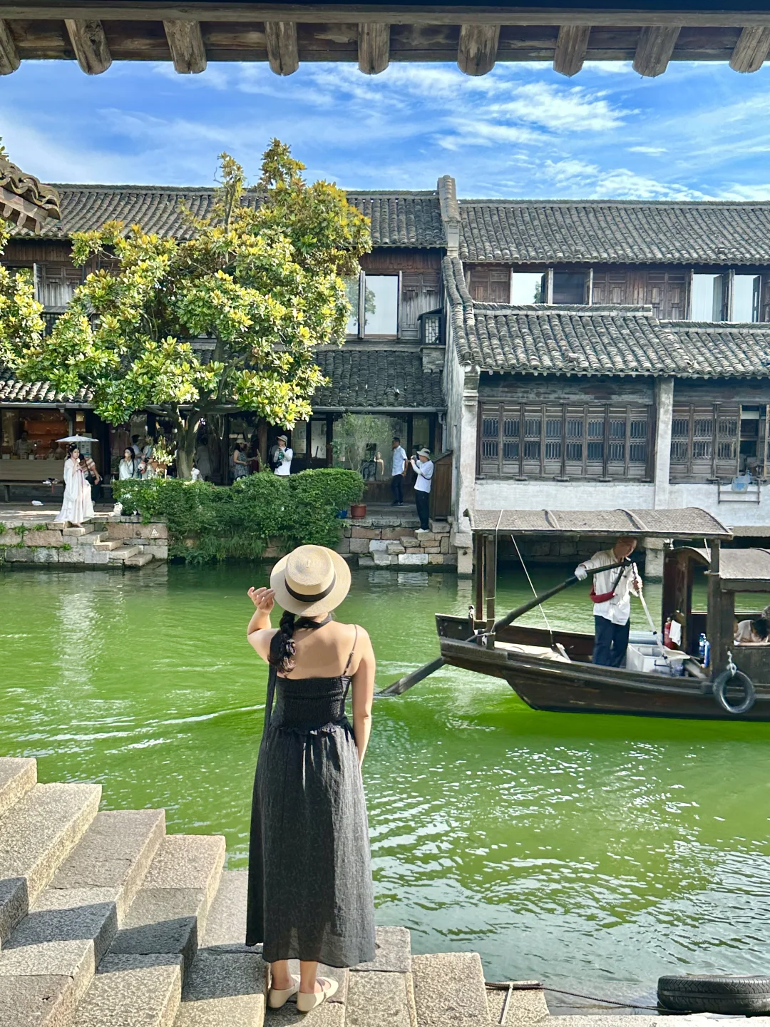 去了88次乌镇！给大家整理了不踩雷攻略‼️