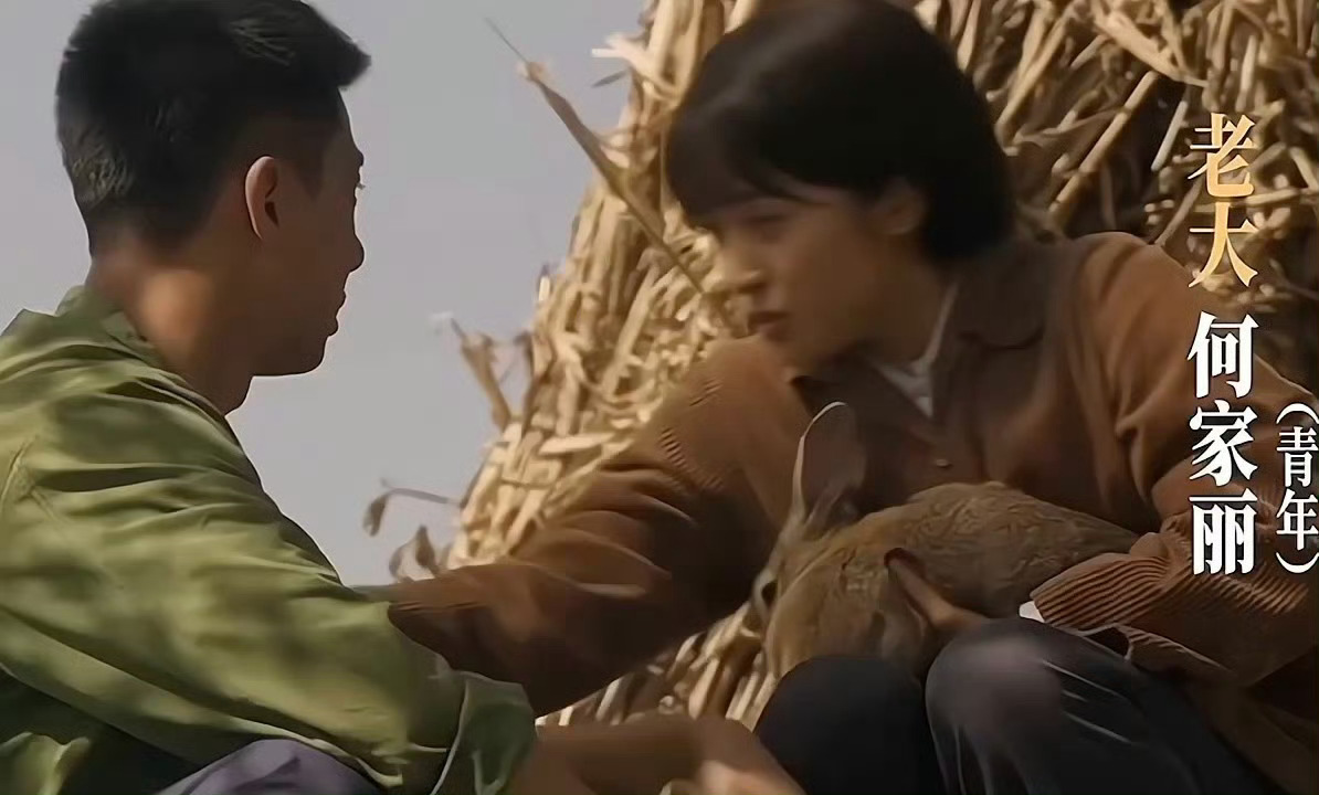 王慧角色线大剧透沈月王慧
