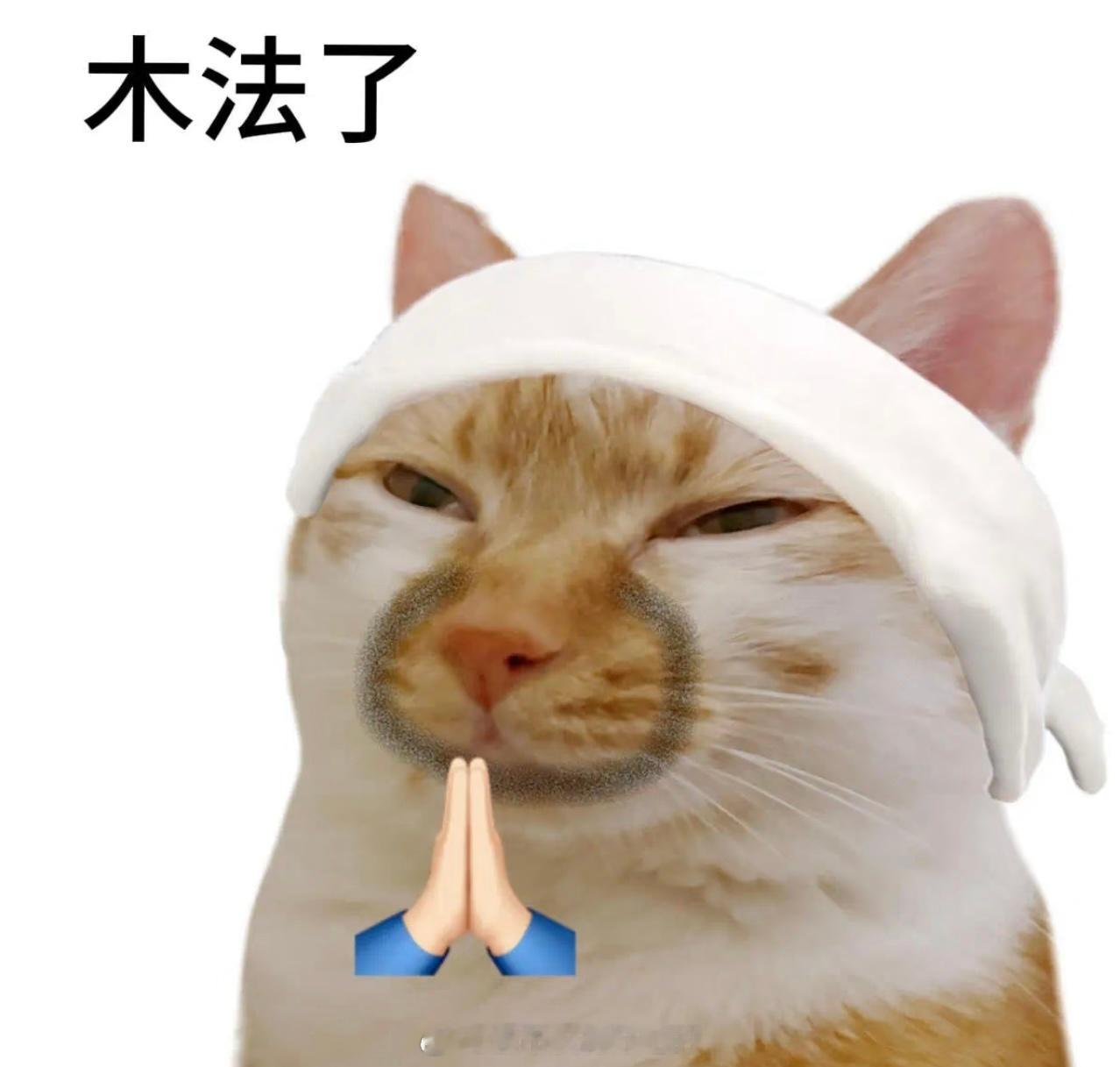 甲亢哥种草后老外吃毛肚上瘾了哈哈哈哈哈谁能不喜欢吃毛肚呢！！！我一次炫一大盘子[