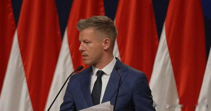 “众所周知，乌克兰是这场战争的受害者，我们不能要求任何国家为了所谓的和平而放弃领